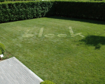2013-a-bleek -2013-08-16_199-72dpi.JPG