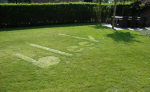 2013-b-bleek -2013-08-16_75 -72dpi.JPG