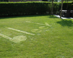 2013-b-bleek -2013-08-16_75 -72dpi.JPG