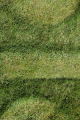 2013-d-bleek -2013-08-16_154 -72dpi.JPG