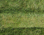 2013-d-bleek -2013-08-16_154 -72dpi.JPG