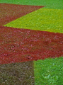 2011-Peinture sur l'herbe -x2011-07-26_184-niv-hoogl-contr-72dpi.JPG