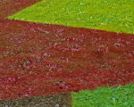 2011-Peinture sur l'herbe -x2011-07-26_184-niv-hoogl-contr-72dpi.JPG