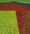 2011-Peinture sur l'herbe -x2011-07-26_230-bew-uitgesn -72dpi.JPG