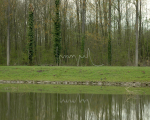 2012-1-fragiel -2012-04-13_456-b -rechter -yellow -best -detail-150dpi.JPG