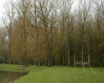 2012-3-fragiel -2012-04-13_449-uitg-b rechter -b-best -150dpi.JPG