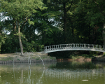 2014-3-magie -7-2014-09-05_229 -rechtgezet -150dpi.JPG