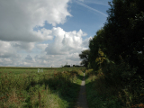 2007-09-15_98-best -150dpi.JPG