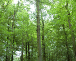 WETS Luk -Potsierlijk, 2009, Kasteelpark Gaasbeek-150dpi.JPG