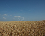24. luk wets - fragiel