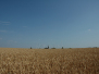 fragiel landschap