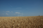 24. luk wets - fragiel