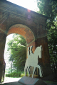 2009-06-24_52-best -150dpi.JPG
