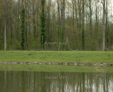 2012-1-fragiel -2012-04-13_456-b -rechter -yellow -best -detail-150dpi.JPG