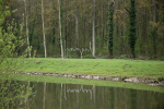 2012-2-fragiel -2012-04-13_471-b -warming85 -150dpi.JPG