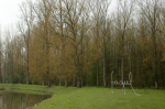 2012-3-fragiel -2012-04-13_449-uitg-b rechter -b-best -150dpi.JPG