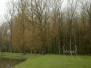 fragiel (Kortenaken)