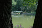 2014-2-magie -6-2014-09-05_217 -rechter-detail -150dpi.JPG