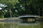 2014-3-magie -7-2014-09-05_229 -rechtgezet -150dpi.JPG