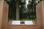 Ortolaan8.jpg