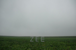 2007-08-26_46 -best-150dpi.JPG