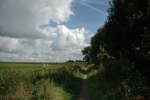 2007-09-15_98-best -150dpi.JPG